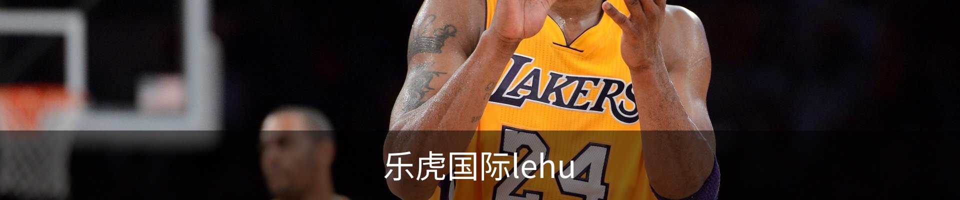 乐虎国际lehu
